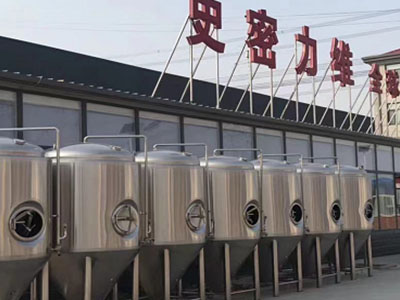 青岛精酿啤酒设备厂—市场规模与跨界新需求